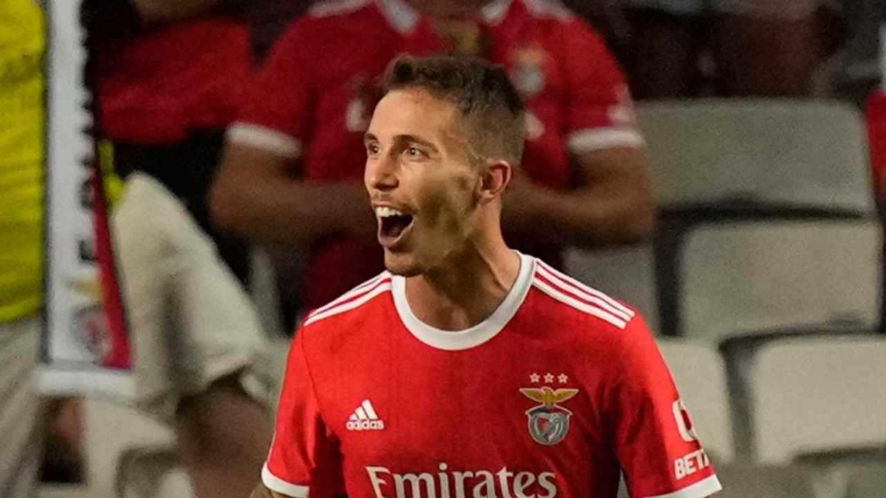 Grimaldo del Benfica obiettivo per la fascia sinistra della Roma