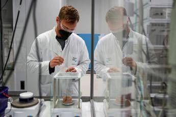 Carcinoma polmonare, ok Ema a lurbinectedina e immunoterapia in prima linea